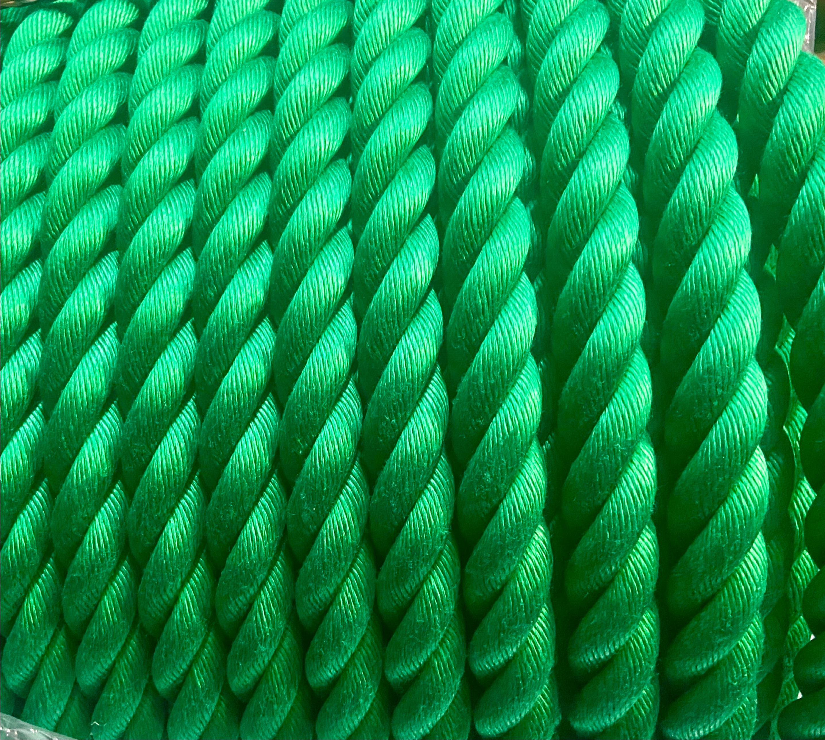 リプロンFロープ 緑